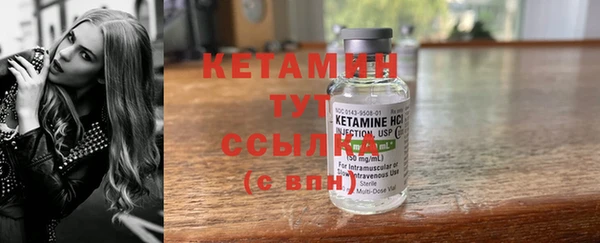 сатива Белокуриха