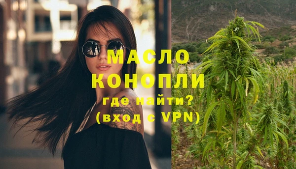 амф Слюдянка