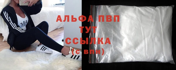 сатива Белокуриха