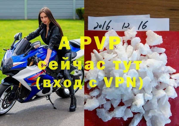 сатива Белокуриха